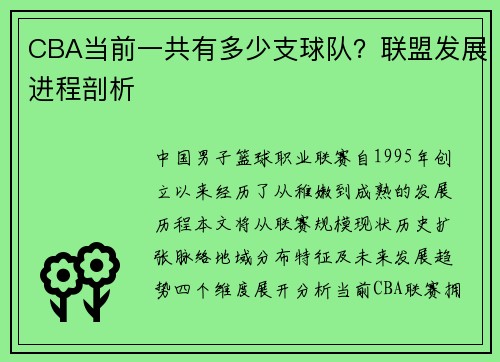 CBA当前一共有多少支球队？联盟发展进程剖析